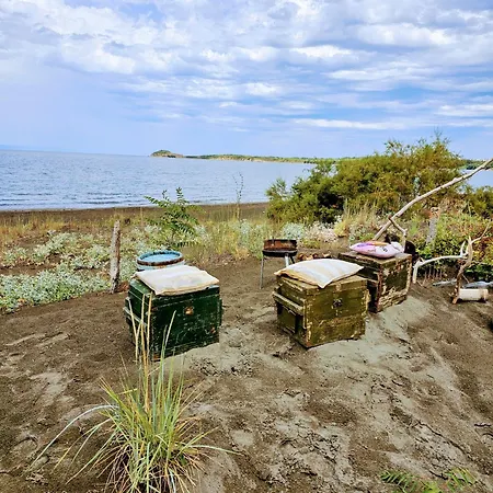 Beachfront Caravans キャンプ場