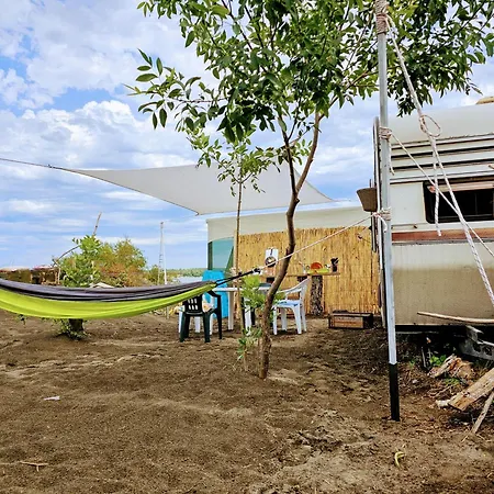 キャンプ場 Beachfront Caravans