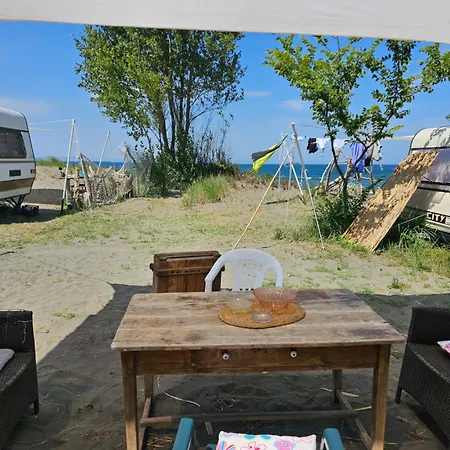 キャンプ場 Beachfront Caravans