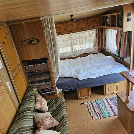 キャンプ場 Beachfront Caravans